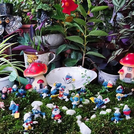 مبيت وإفطار فورونوفو دي تارو Nel Giardino Di Oz المظهر الخارجي الصورة