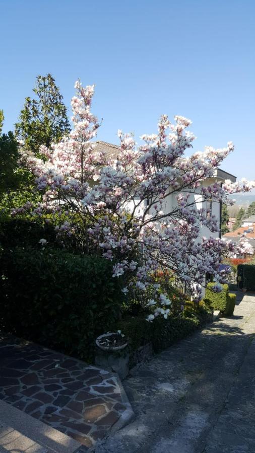 مبيت وإفطار فورونوفو دي تارو Nel Giardino Di Oz المظهر الخارجي الصورة