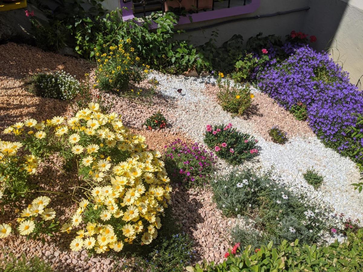 مبيت وإفطار فورونوفو دي تارو Nel Giardino Di Oz المظهر الخارجي الصورة